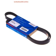 ������ ������������ Avantech Avantech 5PK1240 ����