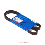 ������ ������������ Avantech Avantech 5PK1130 ����