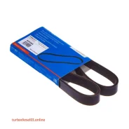 ������ ������������ Avantech Avantech 6PK884 ����