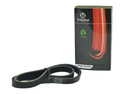 ������ ��� 4PK930* Ti�GUAR Tiguar 4PK930 ����