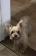 ����������� ������. ����