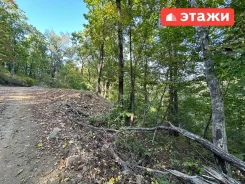 ��������� ��������� ������� �� ������: ��� ������ ��. 1359. 10����., �������������, ���� ����