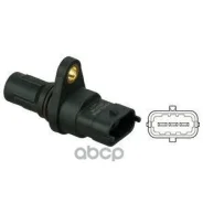 ������ Delphi ���. SS11150 SS11150 ����