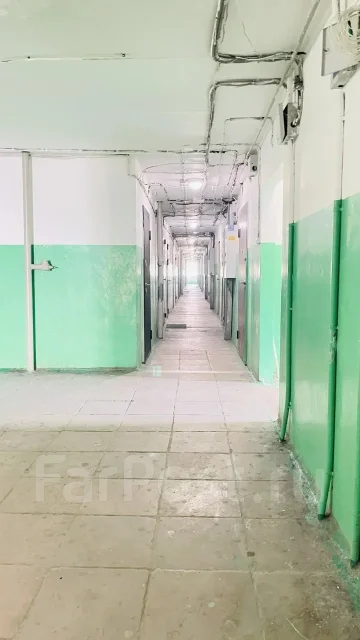 ��������, ����� ���������� 79�. ��������, ���������, 24���.��., 7/9 ����, ������������ ������. ������� ������ ����