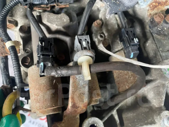 ���� Honda Freed, L15A [SP1A] ����