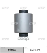 ����������� CTR ���. GV0300 GV0300 ����