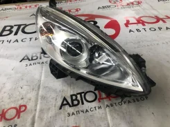 ���� Nissan Lafesta [9562], ������ 9562 ����