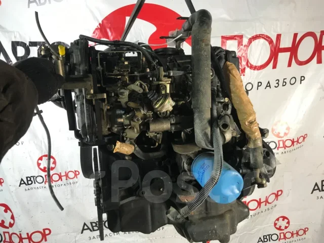 ��� Nissan Bluebird [10102-8E1A0] 101028E1A0 ����