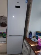 ������������. ����
