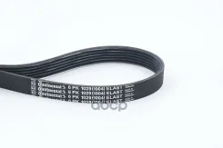 ������ ��������. Continental ���. 6PK1029Elast 6PK1029ELAST ����