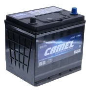 Camel
