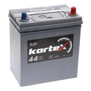 Kortex