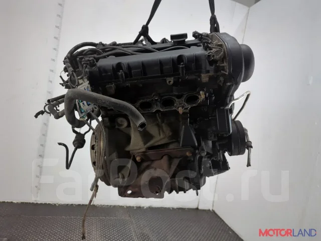 ��������� (���) Ford Focus 2 2005-2008 21429124 1806559 ����