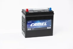 Camel