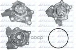 ������� ����� Dolz ���. A243 A243 Dolz A243 ����