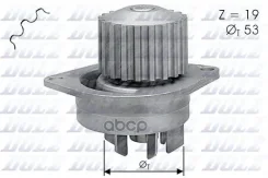 ����� �������� ���������� Dolz ���. C113 C113 Dolz C113 ����