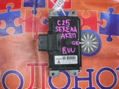 ���� ���������� ���� Nissan Serena 31036 ����