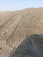 �����. ����