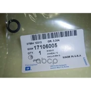 ������ �������������� General Motors ���. 17106005 17106005 GM 17106005 ����
