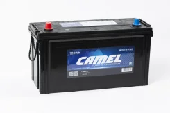 Camel