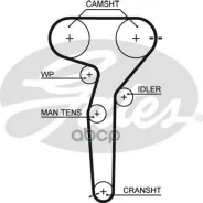 ������ ��� Gates ���. 5423XS 5423XS Gates 40831x24 5423XS ����