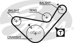������ ��� Gates ���. 5436XS 5436XS Gates 99x3/ 4 5436XS ����