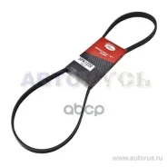������ ������������ Gates ���. 5PK1220 5PK1220 Gates XF58810 5PK1220 ����
