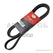 ������ ������������ Gates ���. 6PK2238 6PK2238 Gates XF 68464 6PK2238 ����