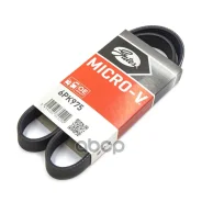 ������ ������������ Gates ���. 6PK975 6PK975 Gates XF68363 6PK975 ����