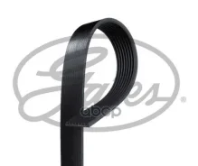 ������ ������������ Gates ���. 8PK1538HD 8PK1538HD ����