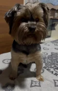 ����������� ������. ����