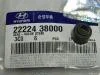 ������������ �������� ������� ��������� Hyundai-KIA ���. 22224-38000 2222438000 Hyundai/Kia 2222438000 ����