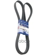 ��������� ������ l=120�� Hyundai-KIA ���. 252122E300 252122E300 Hyundai/Kia 252122E300 ����