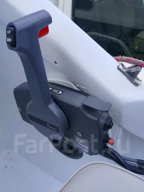 ����. 1983 ���, ����� 5,5��., ��������� ���������, 100��.�., ������ ����