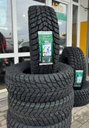 Roadcruza Snow Lynx. ������, ����������, 2026 ���, ����� ����