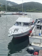 Bayliner. 1991 ���, ����� 11��., ��������� ������������, 440��.�., ������ ����