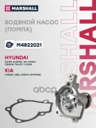 ����� ������� Marshall ���. M4822021 M4822021 Marshall M4822021 ����