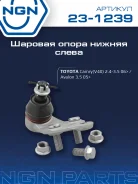 ����� ������� ����� ��� NGN ���. 231239 231239 NGN 231239 ����