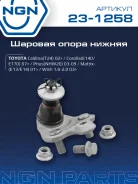 ����� ������� ����� ����/��� NGN ���. 231258 231258 NGN 231258 ����