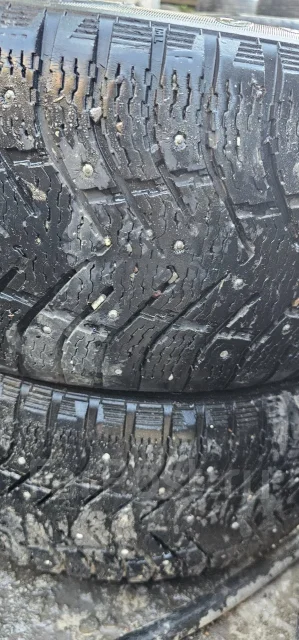Carbon Series. ������, ����������, 2021 ���, �/�, ����� 35 % ����