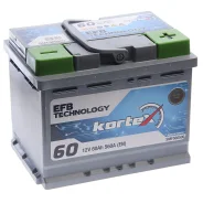 Kortex