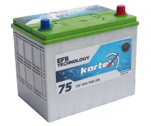 Kortex