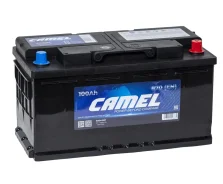 Camel