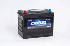 Camel