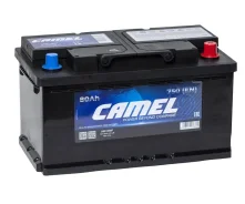 Camel