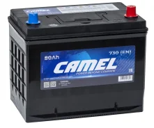 Camel