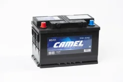 Camel