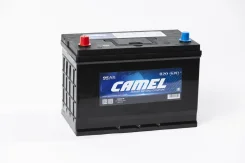 Camel
