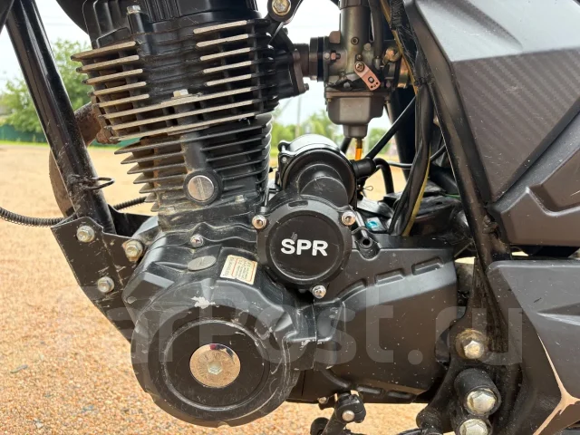 SPR. 229����. ��., ��������, ���������, ������ �� �� ����