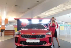 ����������� ��������. ����